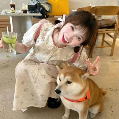 胖小子统治世界